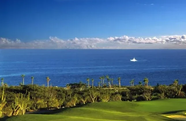 Cabo san lucas real estate for sale